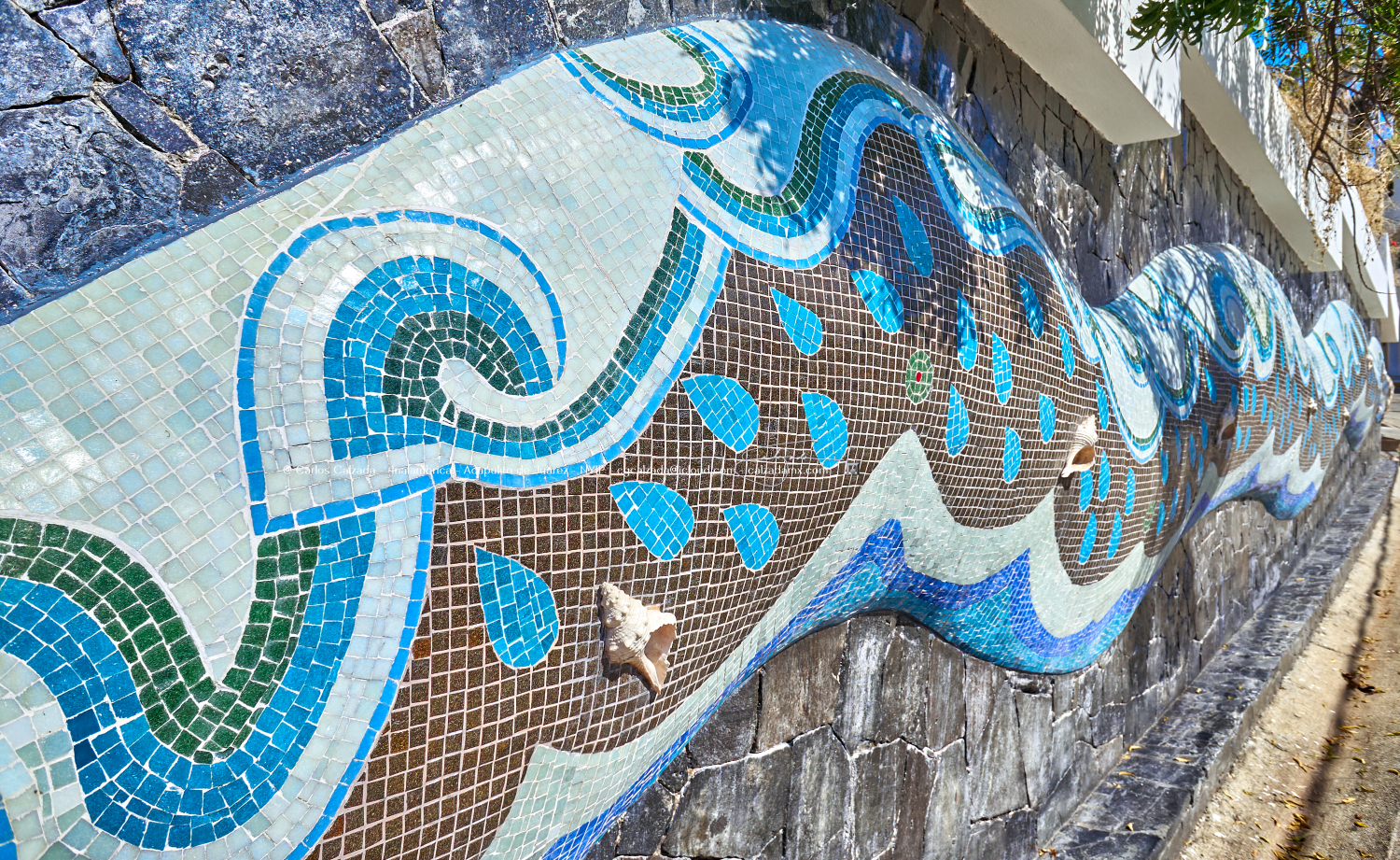 Diego Rivera - DSC02803 - ene 15 2025.png